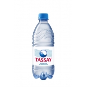 Вода "Tassay" (без газа/0.5 л./1 уп./12 шт./ПЭТ) 